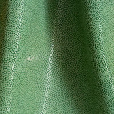 Shagreen - Apple