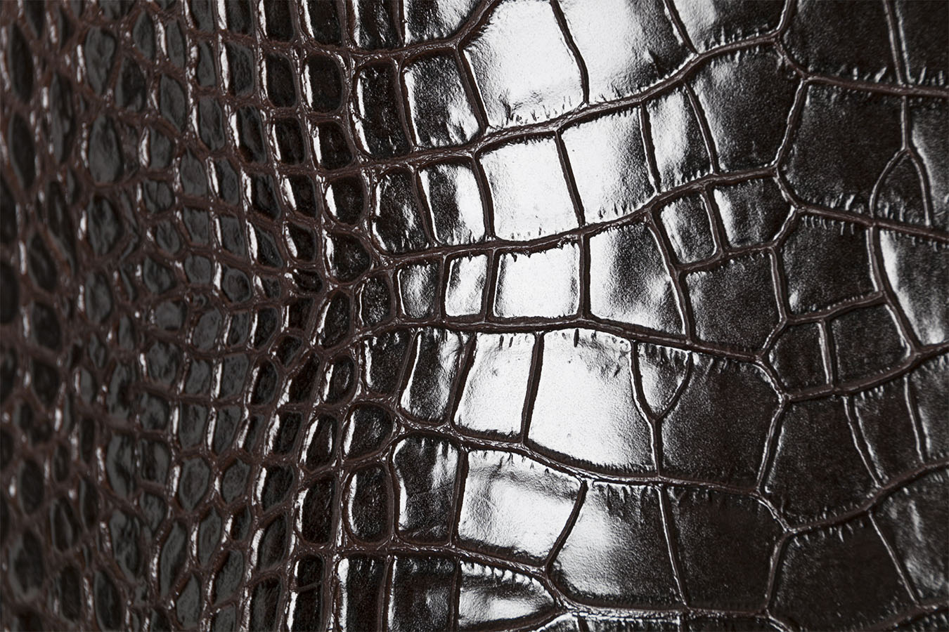 Croco Medi - Espresso