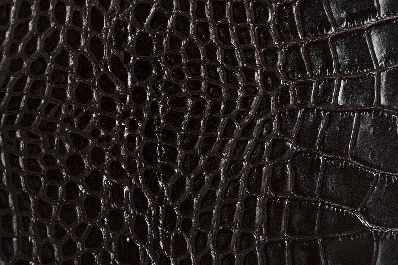 Croco Medi - Espresso