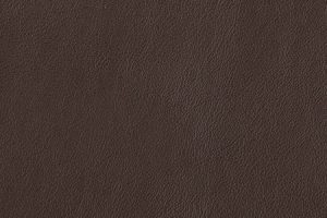 Firenze - Dark Drown