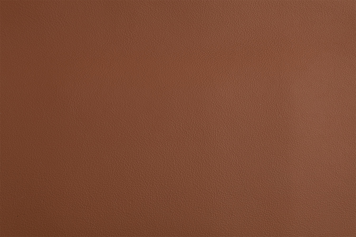 Firenze - Terra Cotta