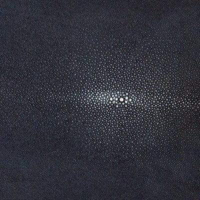 Shagreen - Indigo