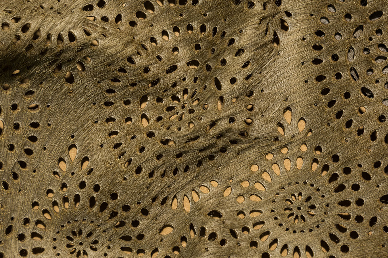 Pony Laser - Andromeda