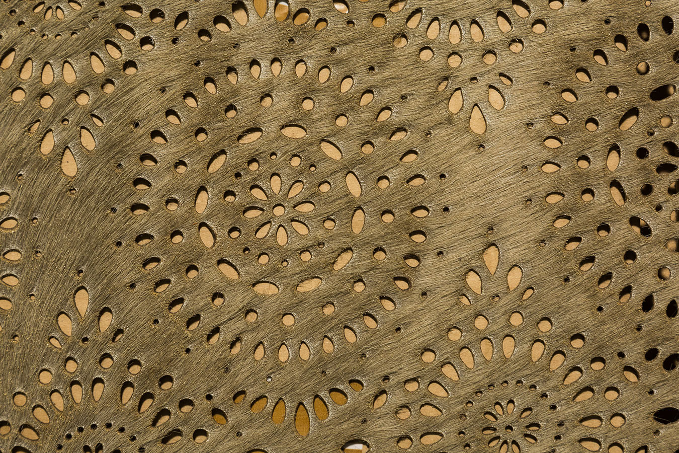 Pony Laser - Andromeda