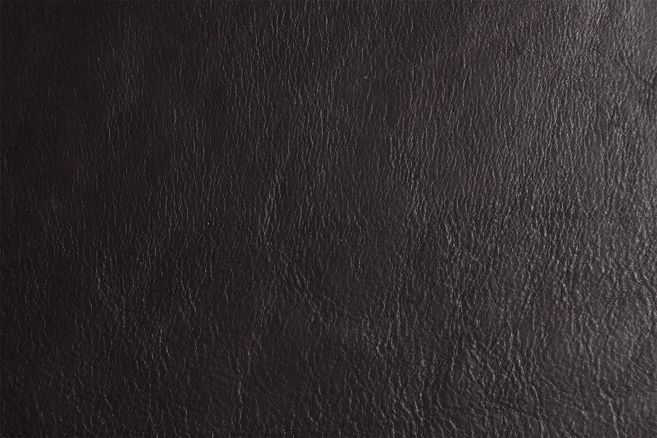 Vesuvious - Torquata